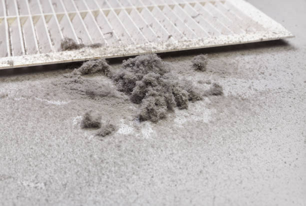 Best Affordable Duct Cleaning Services  in Benld, IL