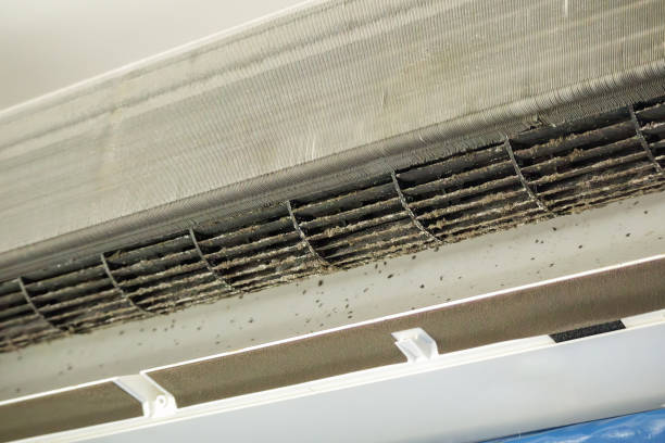 Best Home Air Vent Cleaning  in Benld, IL